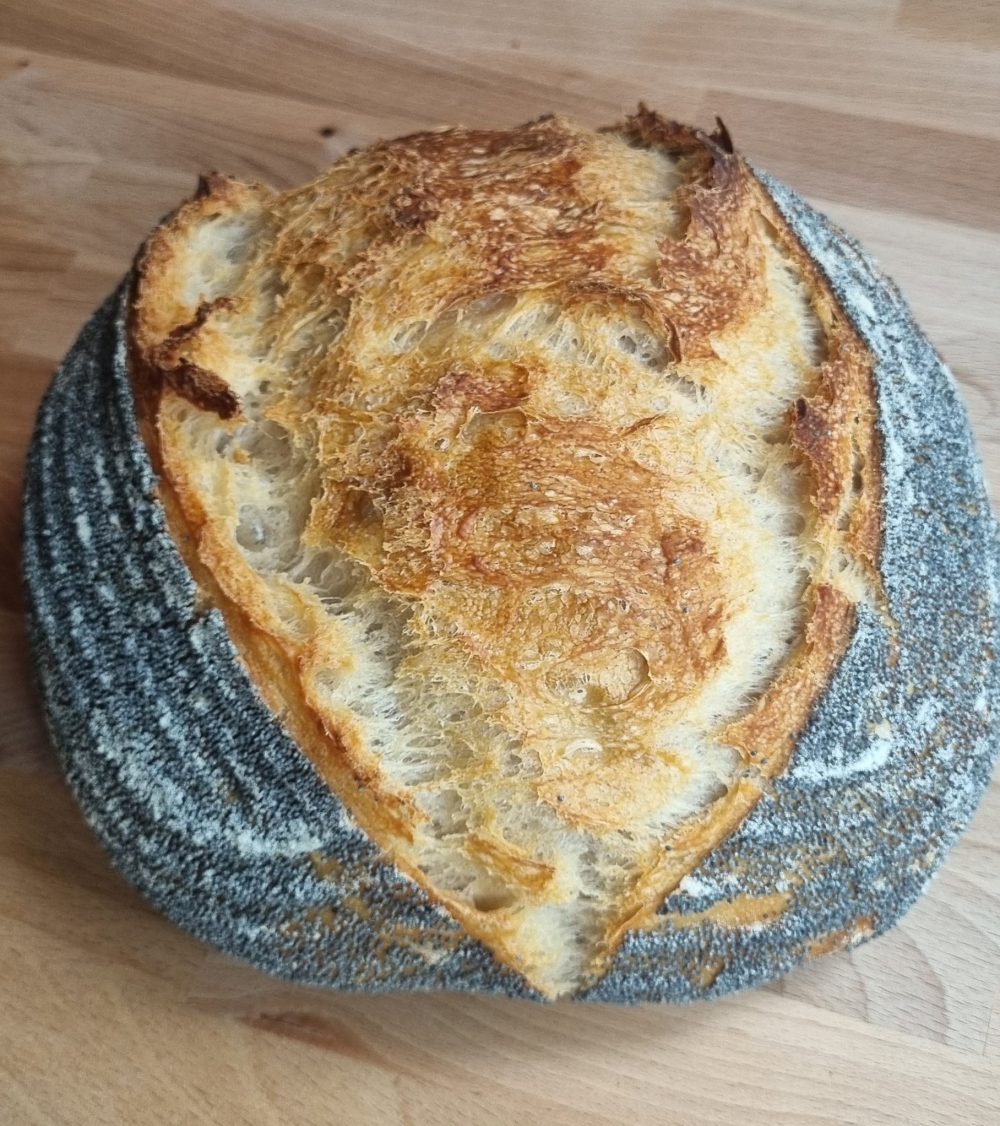 Zuurdesem classic maanzaad — zuurdesem uit de microbakkerij in Zutphen